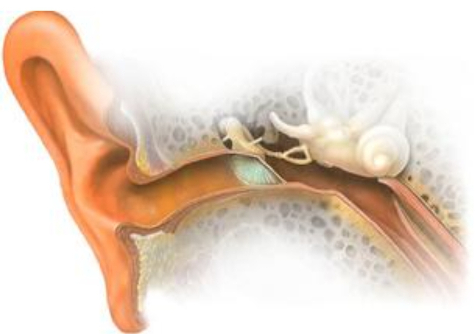 باروترومای گوش و سینوس