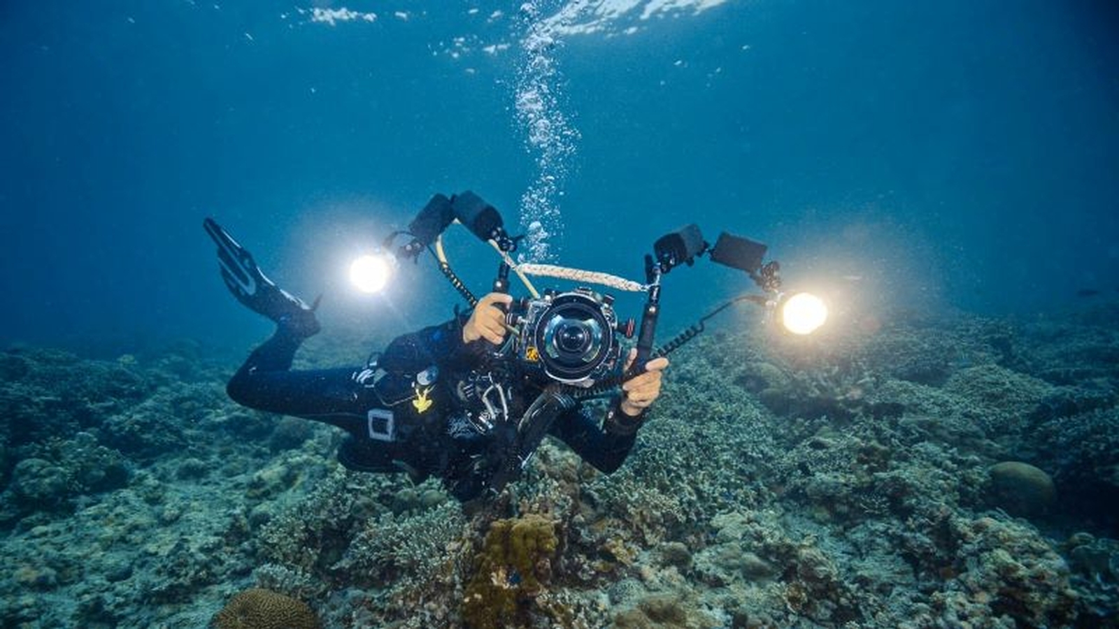 آشنایی با بهترین نکات و تکنیک‌های عکاسی زیر آب