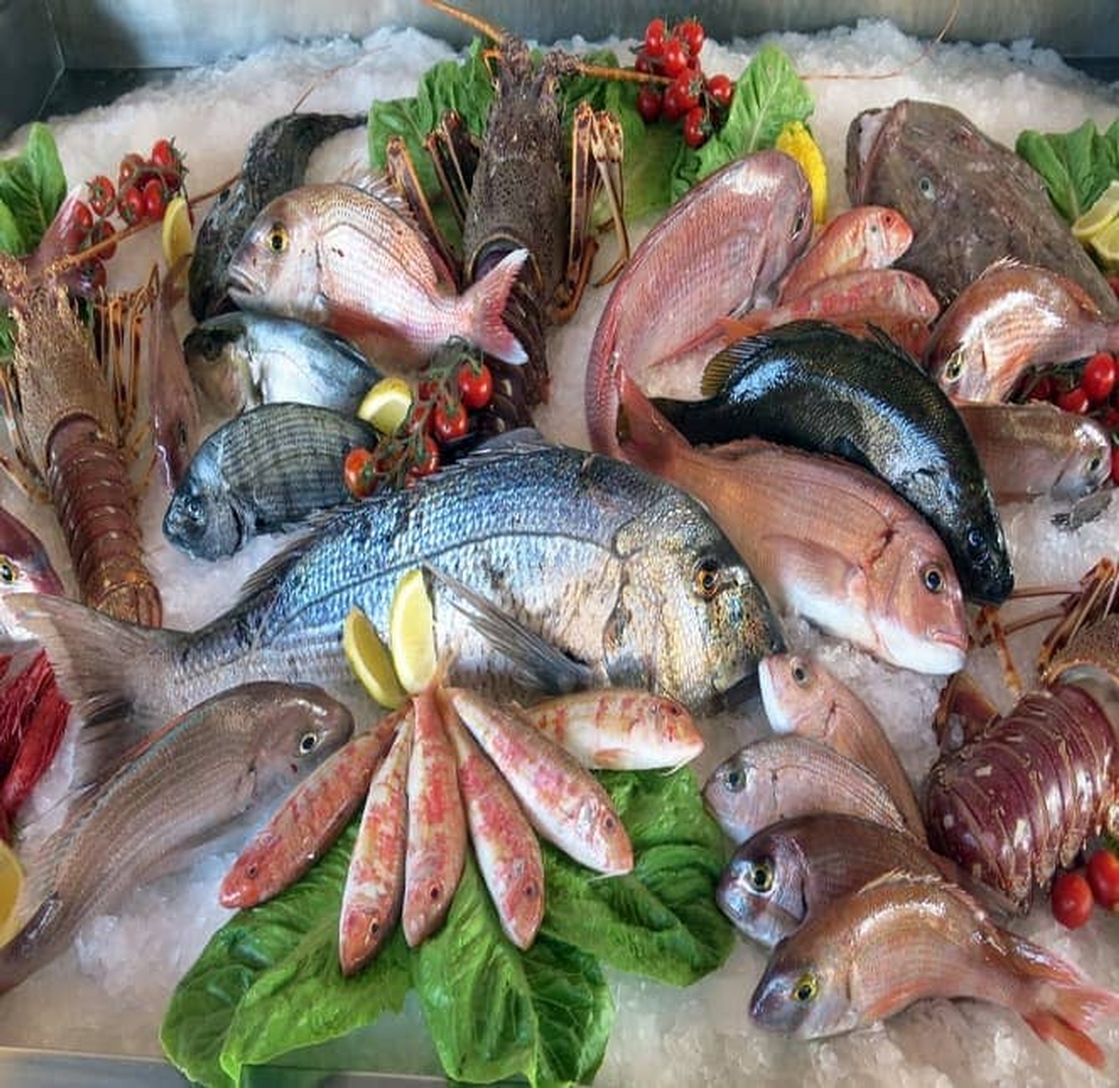 خوشمزه‌ترین ماهی‌های جنوب کدامند؟