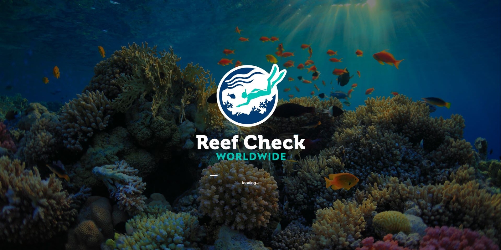 REEF CHECK