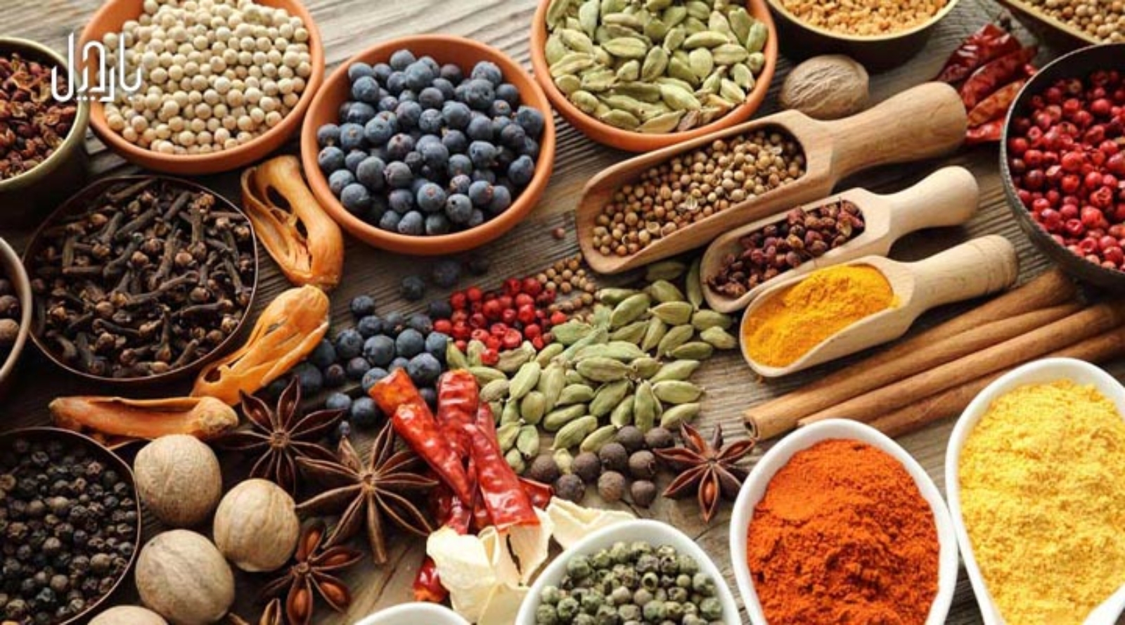 بهترین ادویه‌های جهان