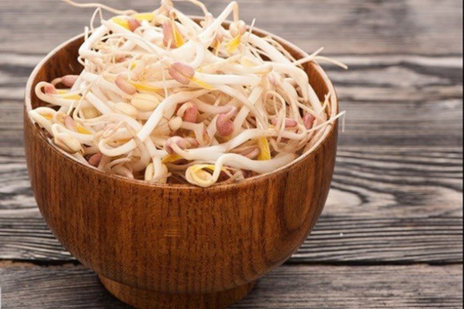 خوراکی‌های مناسب برای غواصی